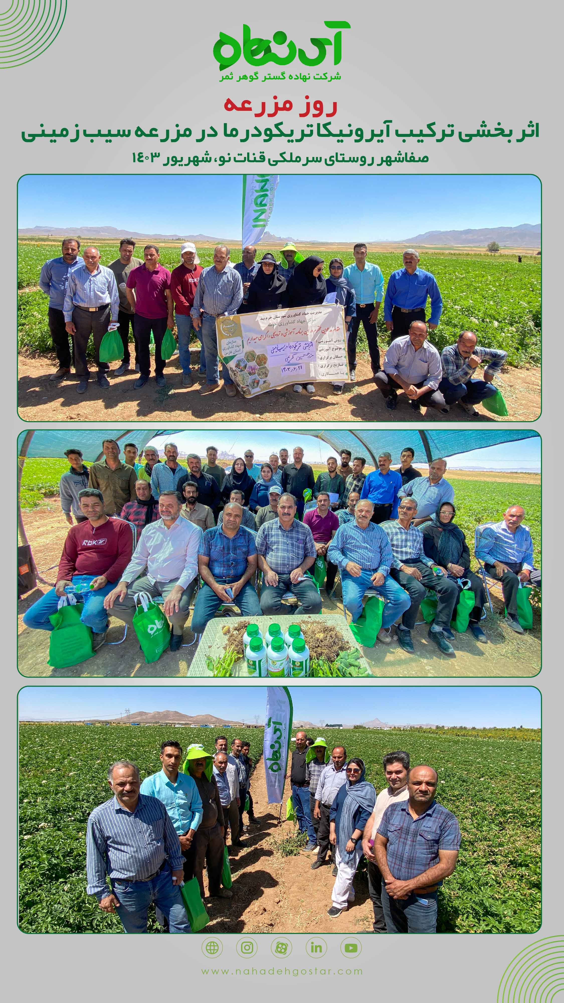 روز مزرعه اثربخشی ترکیب آیرونیکا تریکودرما در مزرعه سیب زمینی صفاشهر